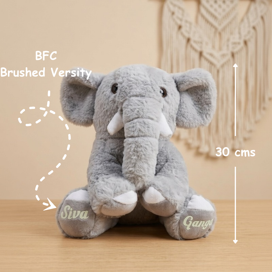Elli The Elephant 🐘